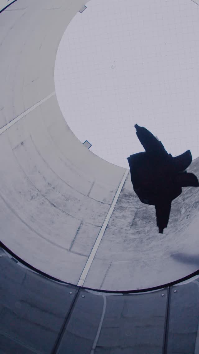 Cecilie Bahnsen x Alpha Industries