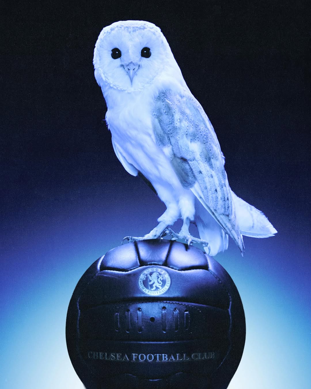 OVO x Chelsea FC
